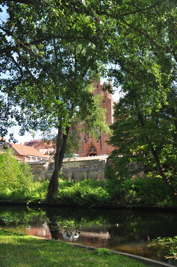 Rzeka Wierzyca w Parku Miejskim w Starogardzie Gdańskim, fot. Karolina Bławat
